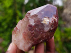 Natural Red Hematoid Quartz Crystals and Clusters x 12 From Karoi, Zimbabwe - Toprock Gemstones and Minerals 