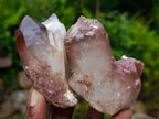 Natural Red Hematoid Quartz Crystals and Clusters x 12 From Karoi, Zimbabwe - Toprock Gemstones and Minerals 