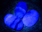 Polished Large Watermelon Fluorite Palm Stones x 12 From Uis, Namibia - Toprock Gemstones and Minerals 