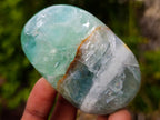 Polished Large Watermelon Fluorite Palm Stones x 12 From Uis, Namibia - Toprock Gemstones and Minerals 