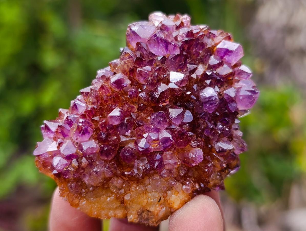 Natural Dark Purple Amethyst Crystal Plates x 35 From Boekenhouthoek, South Africa - Toprock Gemstones and Minerals 