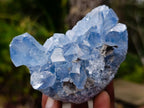 Natural Blue Celestite Specimens x 24 From Sakoany, Madagascar