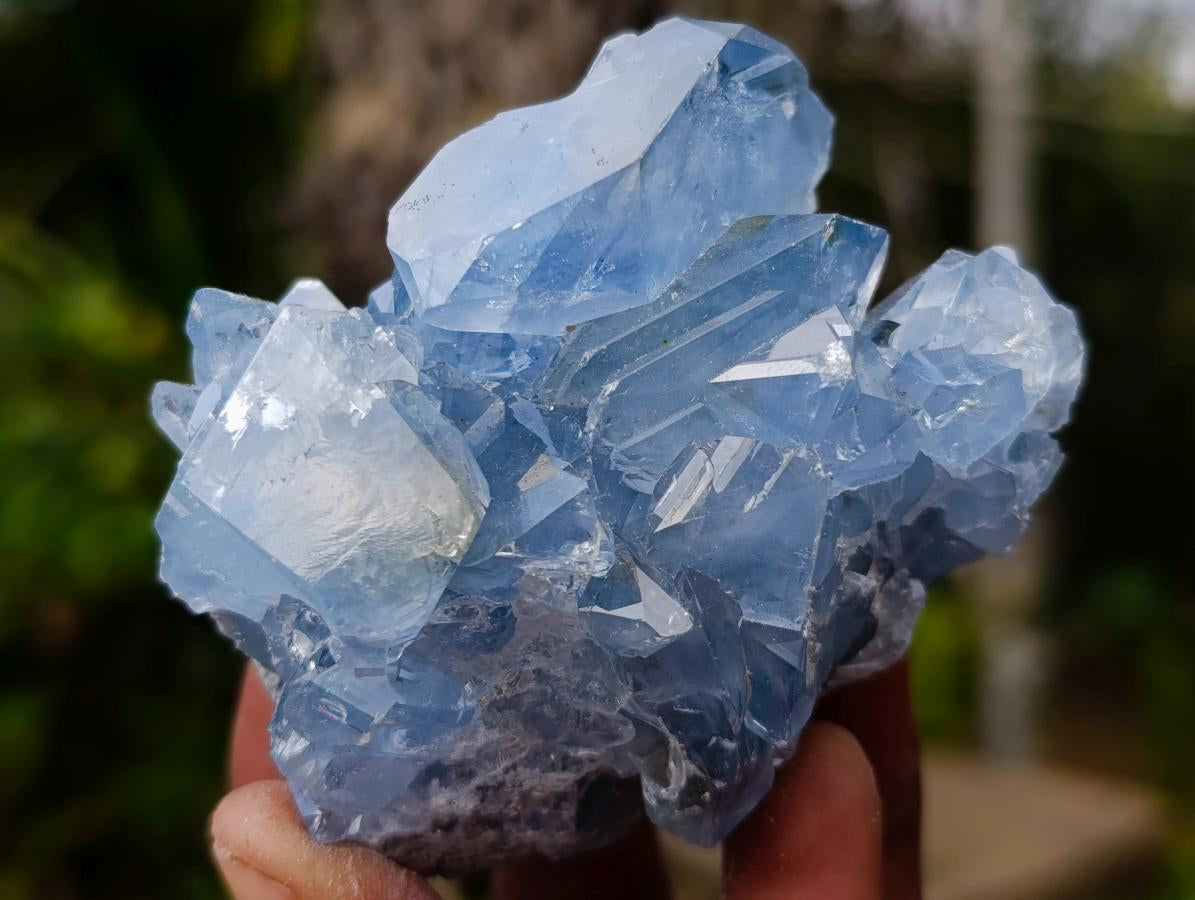 Natural Blue Celestite Specimens x 24 From Sakoany, Madagascar