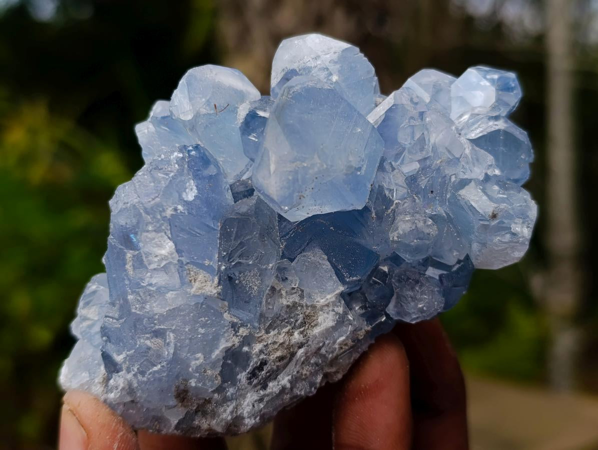 Natural Blue Celestite Specimens x 24 From Sakoany, Madagascar