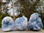 Natural Blue Celestite Specimens x 24 From Sakoany, Madagascar