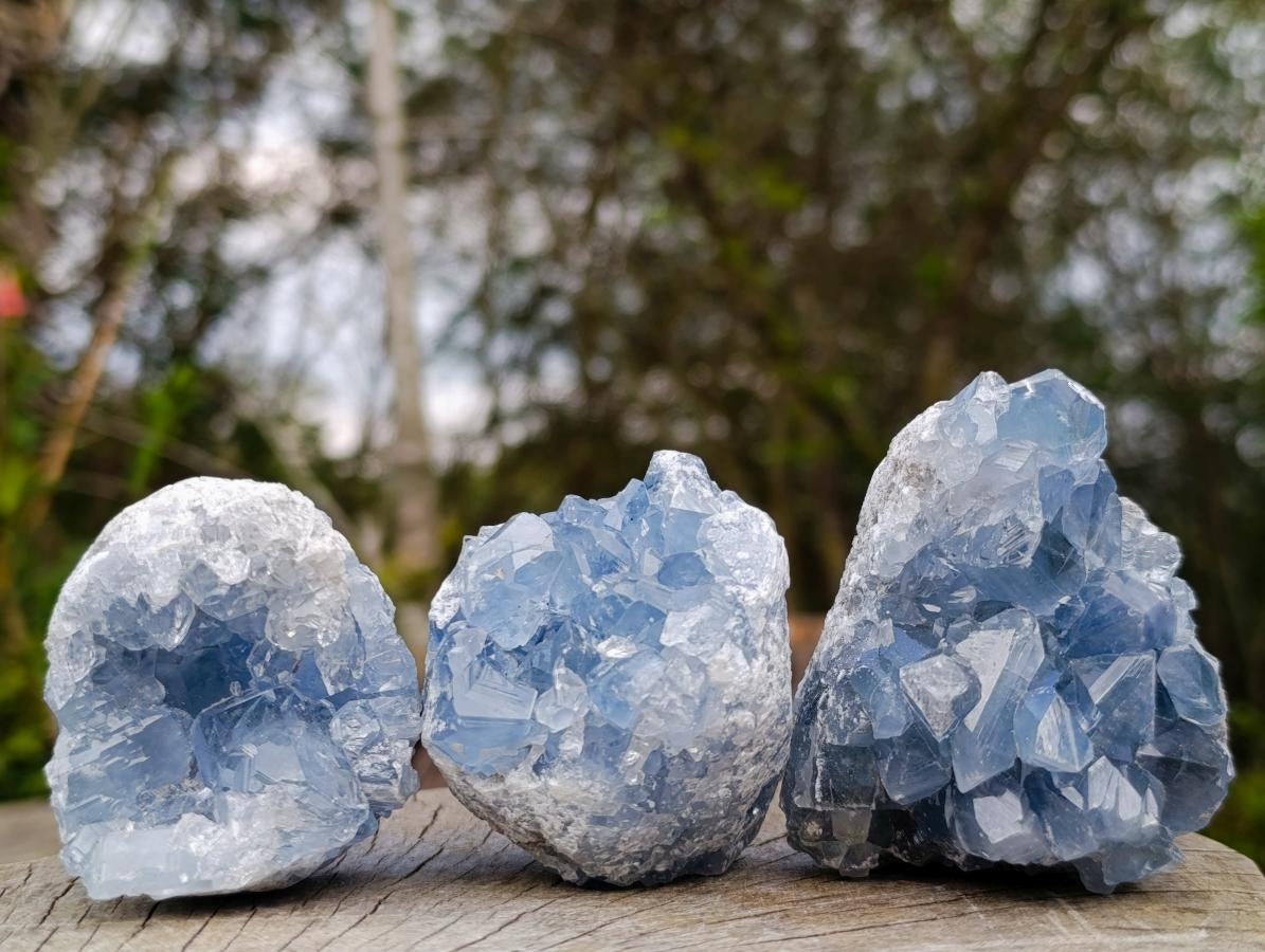 Natural Blue Celestite Specimens x 24 From Sakoany, Madagascar