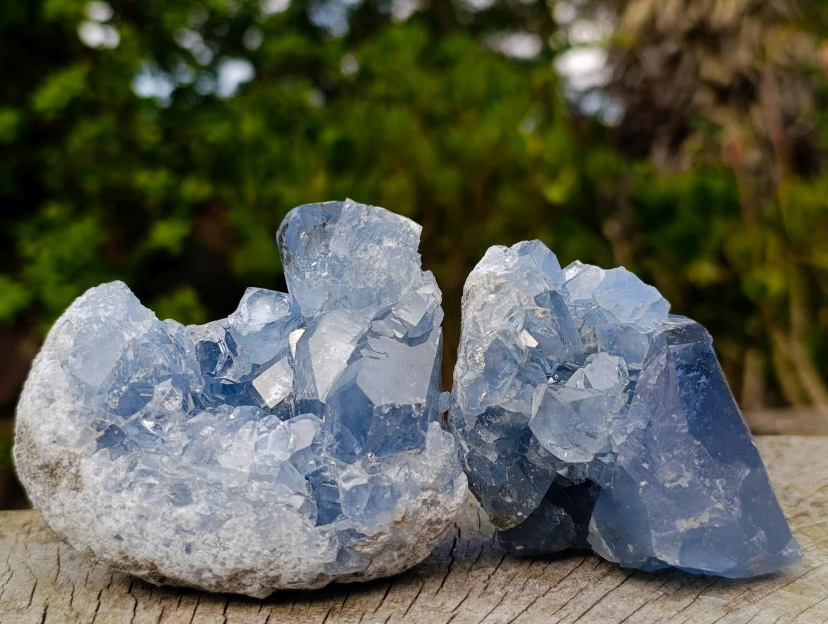 Natural Blue Celestite Specimens x 24 From Sakoany, Madagascar