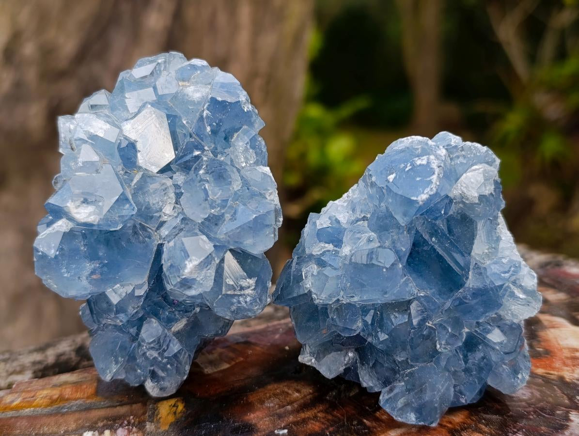 Natural Blue Celestite Specimens x 24 From Sakoany, Madagascar