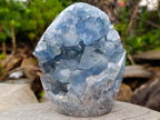 Polished Blue Celestite Standing Display Pieces x 2 From Sakoany, Madagascar - Toprock Gemstones and Minerals 