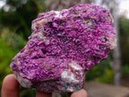 Natural Salrose Cobaltoan Dolomite Specimens with Malachite and Kaolinite x 6 From Kakanda, Congo - Toprock Gemstones and Minerals 