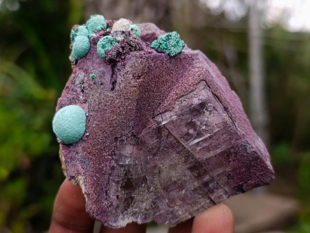 Natural Salrose Cobaltoan Dolomite Specimens with Malachite and Kaolinite x 6 From Kakanda, Congo - Toprock Gemstones and Minerals 