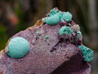 Natural Salrose Cobaltoan Dolomite Specimens with Malachite and Kaolinite x 6 From Kakanda, Congo - Toprock Gemstones and Minerals 