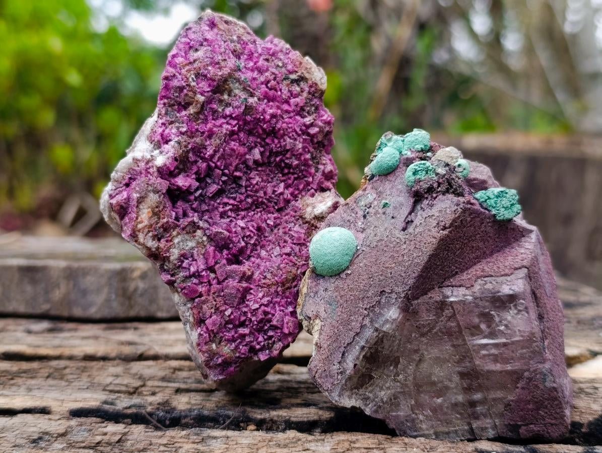 Natural Salrose Cobaltoan Dolomite Specimens with Malachite and Kaolinite x 6 From Kakanda, Congo - Toprock Gemstones and Minerals 