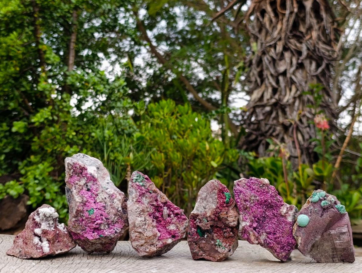 Natural Salrose Cobaltoan Dolomite Specimens with Malachite and Kaolinite x 6 From Kakanda, Congo - Toprock Gemstones and Minerals 