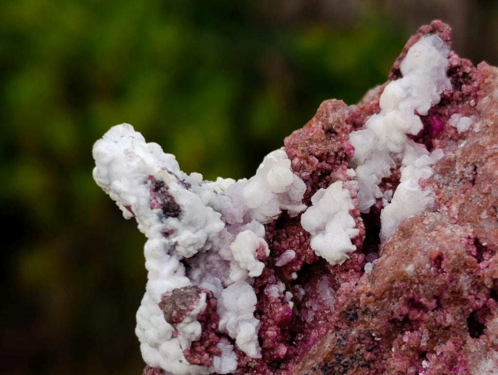 Natural Salrose Cobaltoan Dolomite Specimens with Malachite and Kaolinite x 6 From Kakanda, Congo - Toprock Gemstones and Minerals 