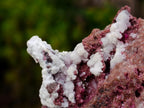 Natural Salrose Cobaltoan Dolomite Specimens with Malachite and Kaolinite x 6 From Kakanda, Congo - Toprock Gemstones and Minerals 