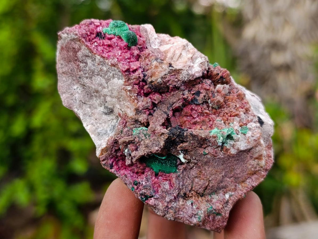Natural Salrose Cobaltoan Dolomite Specimens with Malachite and Kaolinite x 6 From Kakanda, Congo - Toprock Gemstones and Minerals 