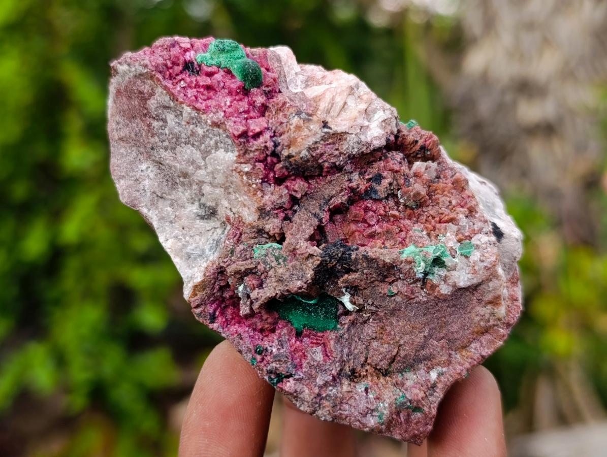 Natural Salrose Cobaltoan Dolomite Specimens with Malachite and Kaolinite x 6 From Kakanda, Congo - Toprock Gemstones and Minerals 