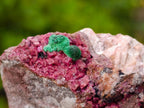 Natural Salrose Cobaltoan Dolomite Specimens with Malachite and Kaolinite x 6 From Kakanda, Congo - Toprock Gemstones and Minerals 