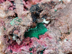 Natural Salrose Cobaltoan Dolomite Specimens with Malachite and Kaolinite x 6 From Kakanda, Congo - Toprock Gemstones and Minerals 
