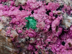 Natural Salrose Cobaltoan Dolomite Specimens with Malachite and Kaolinite x 6 From Kakanda, Congo - Toprock Gemstones and Minerals 