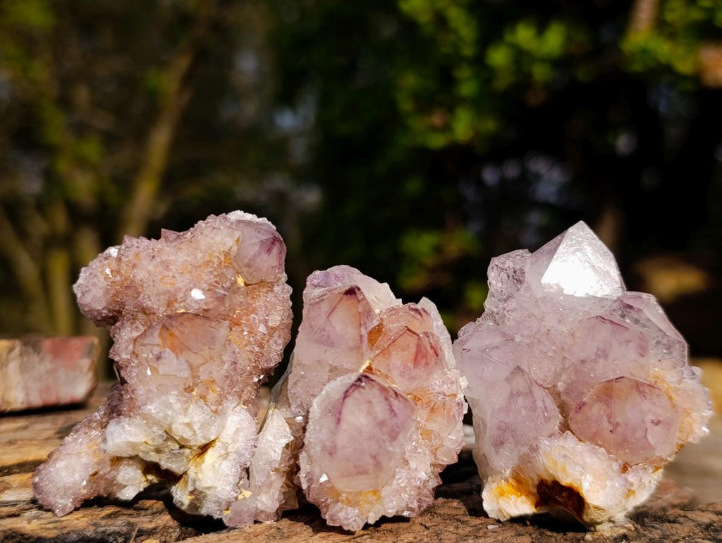 Natural Spirit Amethyst Clusters x 20 From Boekenhouthoek, South Africa - Toprock Gemstones and Minerals 