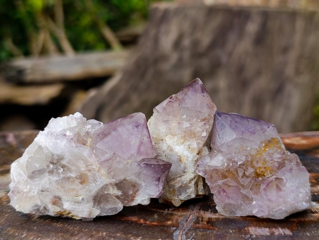 Natural Spirit Amethyst Clusters x 20 From Boekenhouthoek, South Africa - Toprock Gemstones and Minerals 