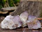 Natural Spirit Amethyst Clusters x 20 From Boekenhouthoek, South Africa - Toprock Gemstones and Minerals 