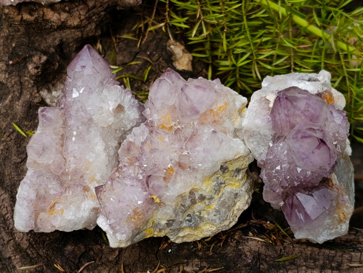 Natural Spirit Amethyst Clusters x 20 From Boekenhouthoek, South Africa - Toprock Gemstones and Minerals 