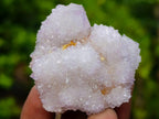 Natural Spirit Amethyst Clusters x 20 From Boekenhouthoek, South Africa - Toprock Gemstones and Minerals 