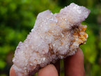 Natural Spirit Amethyst Clusters x 20 From Boekenhouthoek, South Africa - Toprock Gemstones and Minerals 