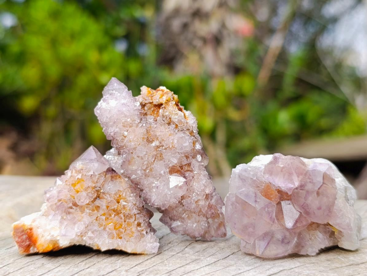 Natural Spirit Amethyst Clusters x 20 From Boekenhouthoek, South Africa - Toprock Gemstones and Minerals 