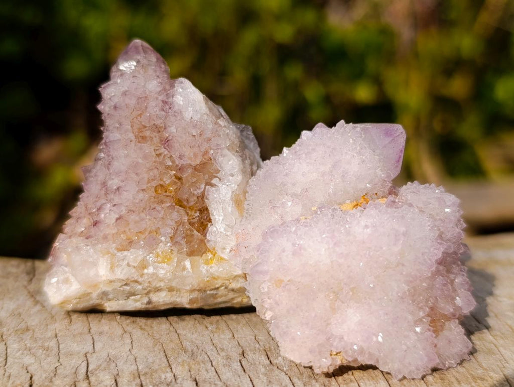 Natural Spirit Amethyst Clusters x 20 From Boekenhouthoek, South Africa - Toprock Gemstones and Minerals 