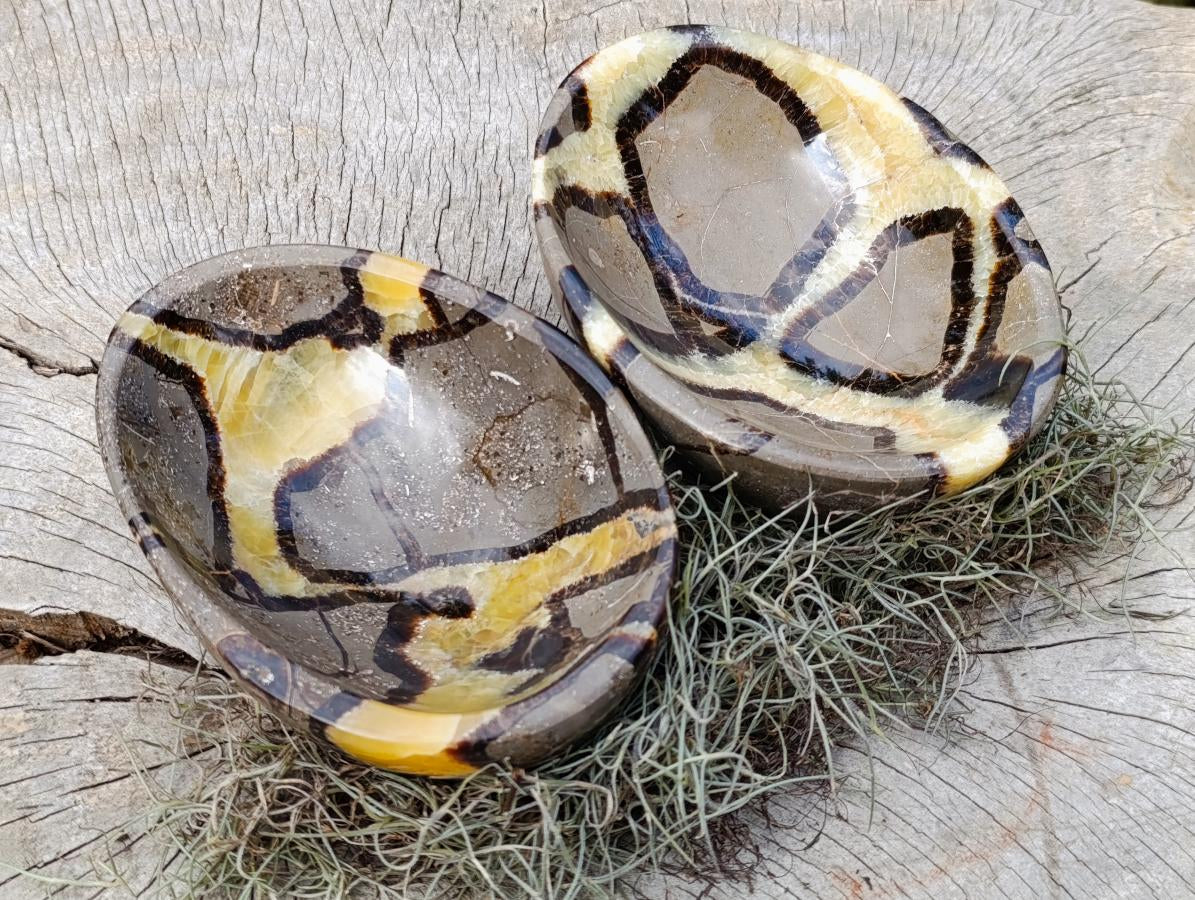 Polished Large Septerye Bowls x 2 From Mahajanga, Madagascar