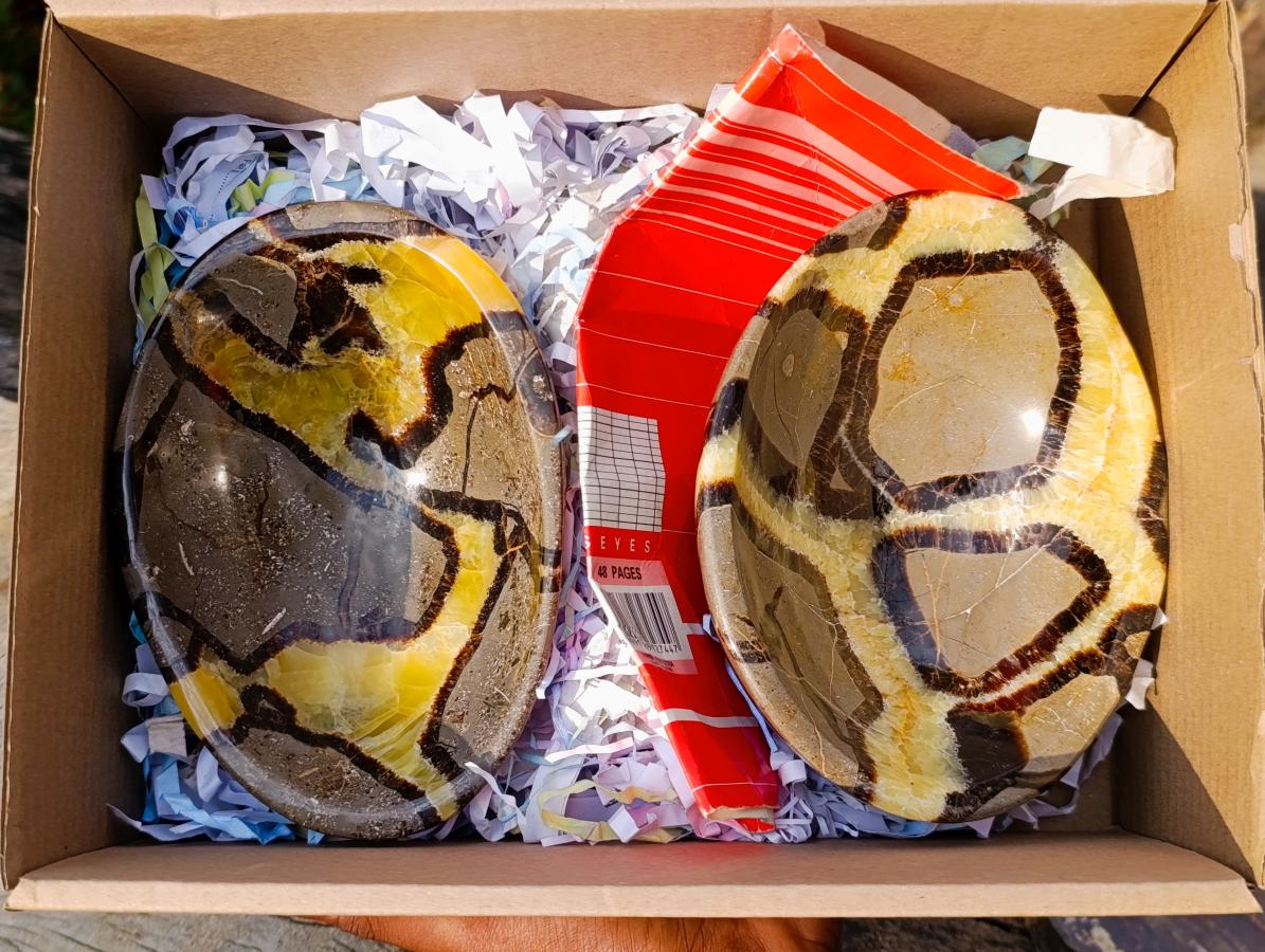 Polished Large Septerye Bowls x 2 From Mahajanga, Madagascar