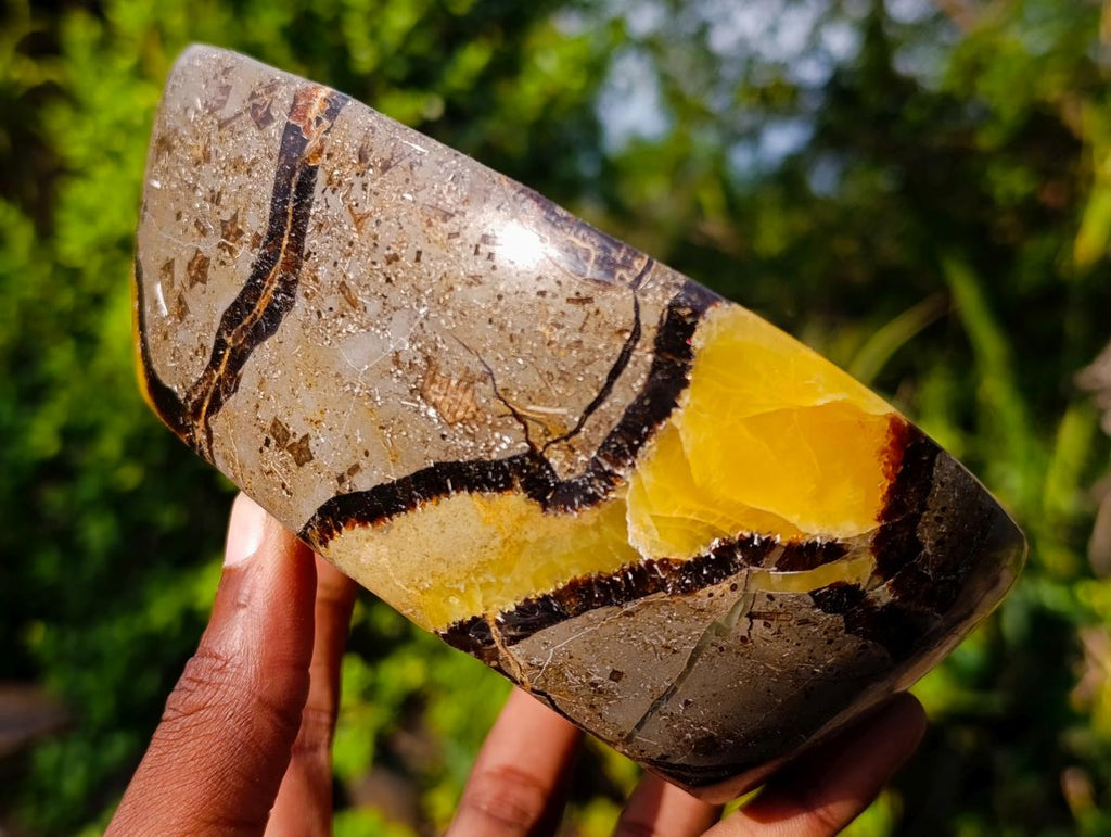 Polished Large Septerye Bowls x 2 From Mahajanga, Madagascar