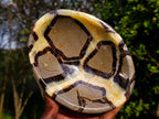 Polished Large Septerye Bowls x 2 From Mahajanga, Madagascar