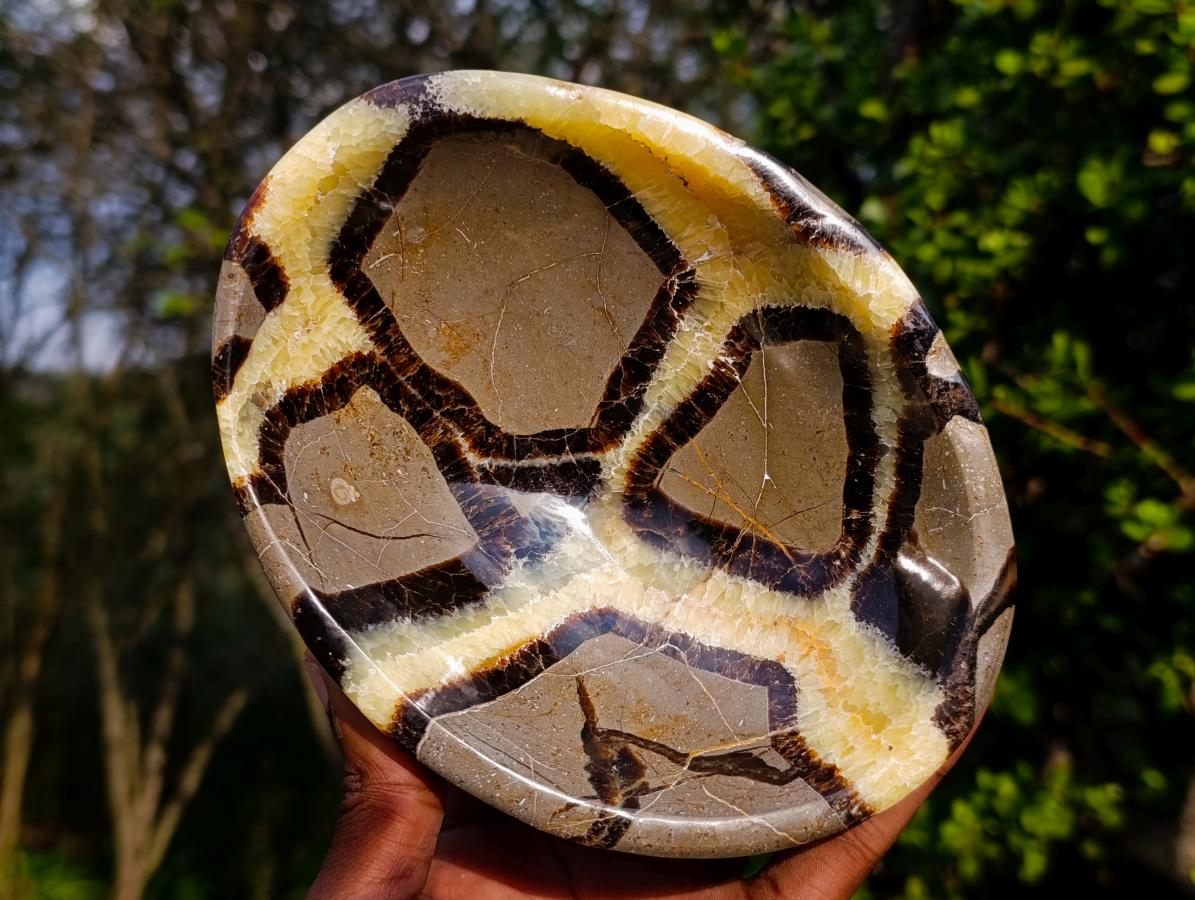 Polished Large Septerye Bowls x 2 From Mahajanga, Madagascar