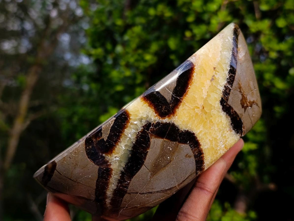 Polished Large Septerye Bowls x 2 From Mahajanga, Madagascar