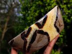 Polished Large Septerye Bowls x 2 From Mahajanga, Madagascar