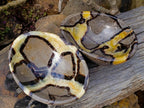 Polished Large Septerye Bowls x 2 From Mahajanga, Madagascar