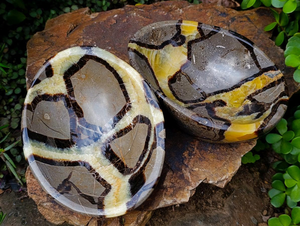 Polished Large Septerye Bowls x 2 From Mahajanga, Madagascar