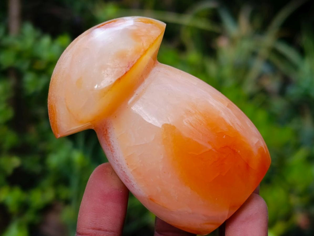 Polished Mixed Carnelian Agate Gemstone Pieces x 8 From Madagascar