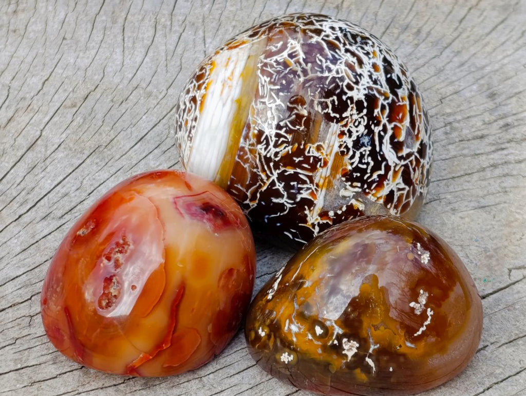 Polished Mixed Carnelian Agate Gemstone Pieces x 8 From Madagascar