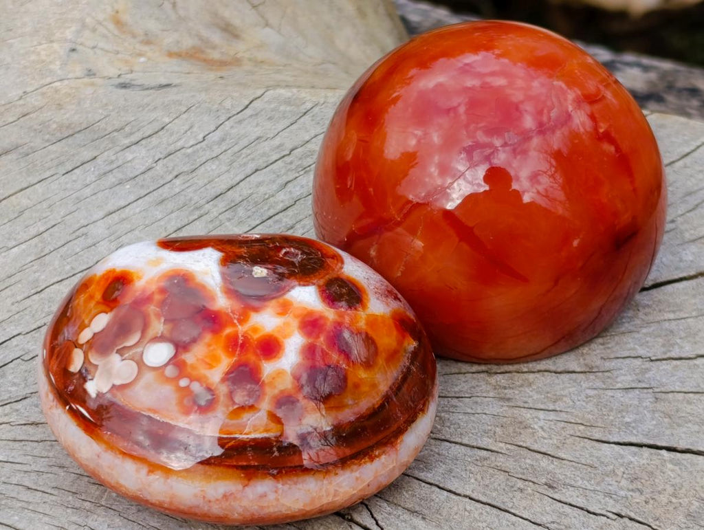 Polished Mixed Carnelian Agate Gemstone Pieces x 8 From Madagascar