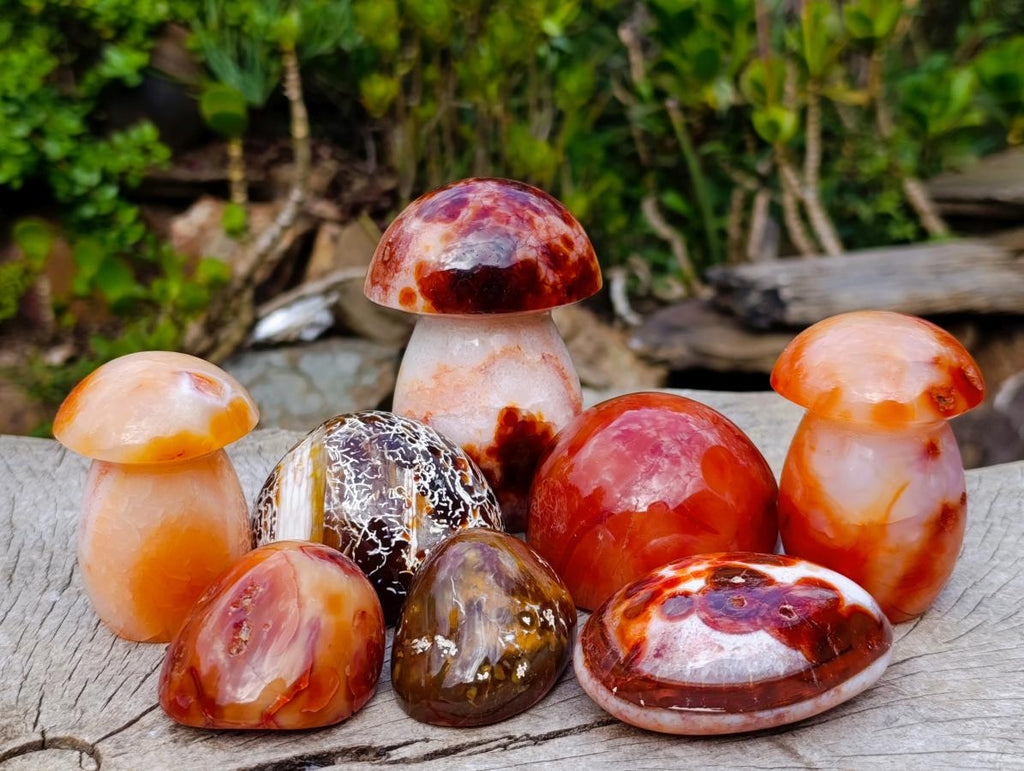 Polished Mixed Carnelian Agate Gemstone Pieces x 8 From Madagascar