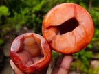 Polished Mixed Carnelian Agate Gemstone Pieces x 8 From Madagascar