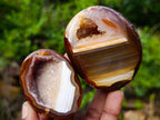 Polished Mixed Carnelian Agate Gemstone Pieces x 8 From Madagascar