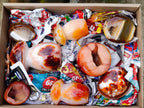 Polished Mixed Carnelian Agate Gemstone Pieces x 8 From Madagascar
