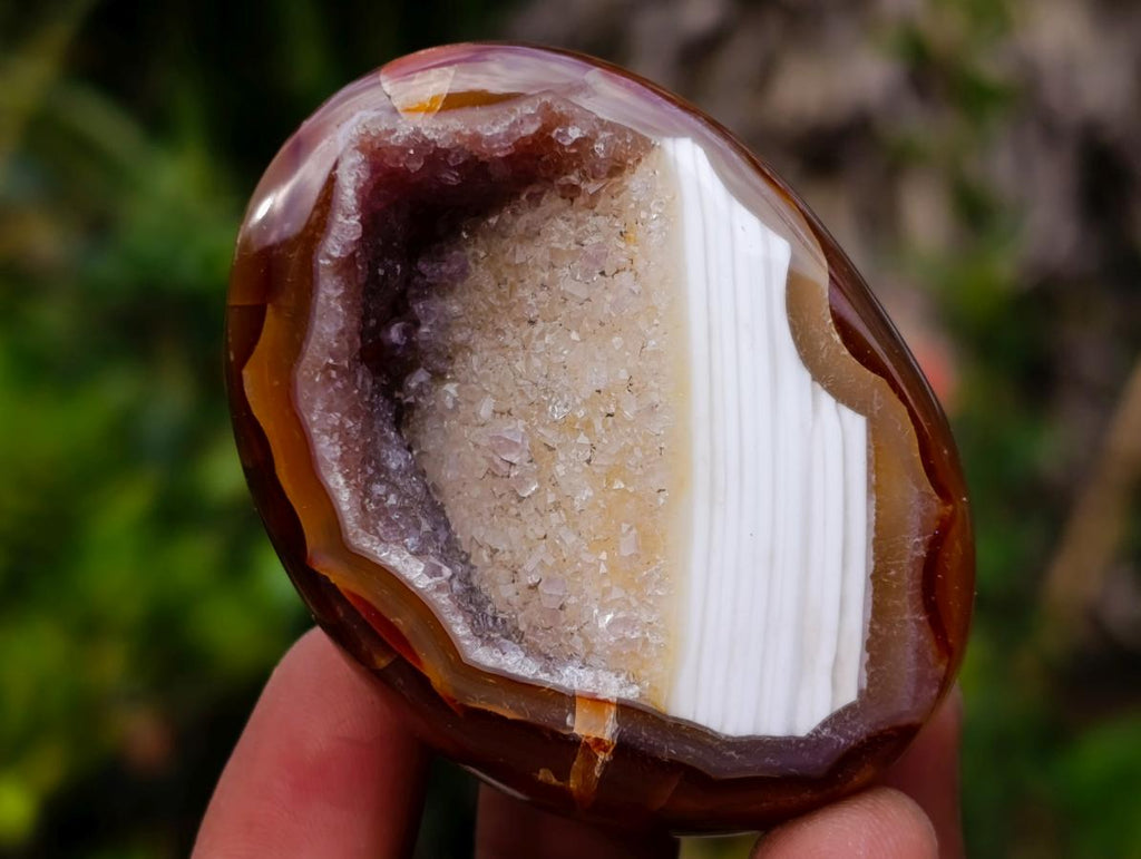 Polished Mixed Carnelian Agate Gemstone Pieces x 8 From Madagascar